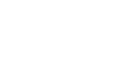 Celebrating 30 Years of Excellence